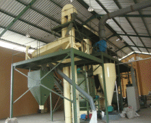 Planta de pellets de pienso de 5 toneladas en Indonesia
