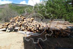 Planta de peletizado de biomasa en Bulgaria